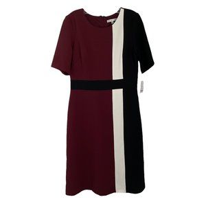Sandra Darren Wine Red Ivory White Black Short Sleeve Sheath Dress 8